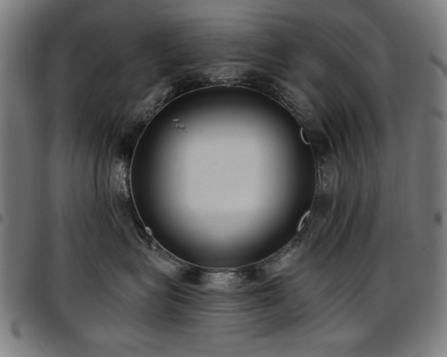 X0000097590575200802291222