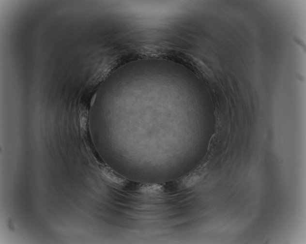 X0000097590576200802291222