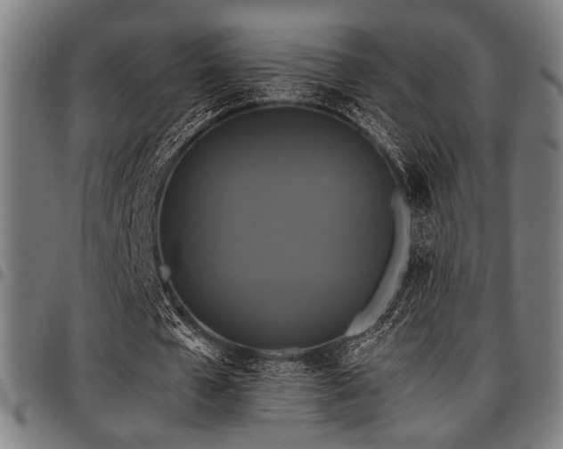 X0000097590577200802291221
