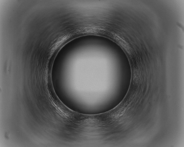X0000097590578200802291221