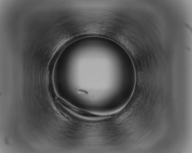 X0000097590580200802291221