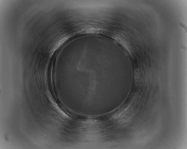 X0000097590581200802291221