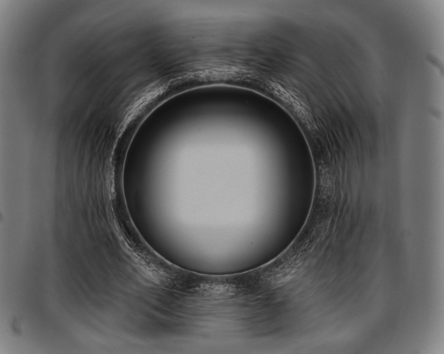 X0000097590582200802291221