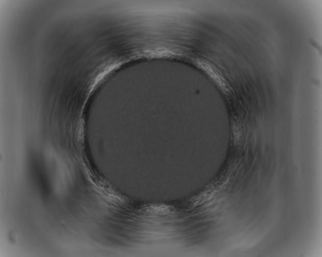 X0000097590583200802291221
