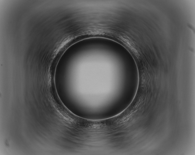 X0000097590584200802291221