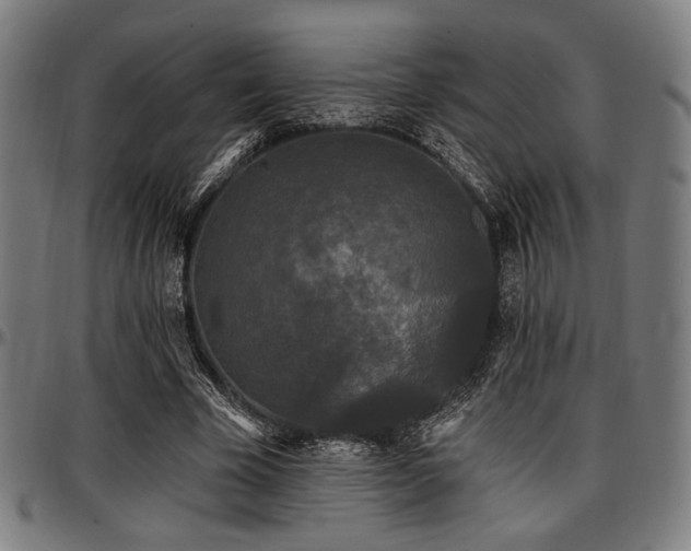 X0000097590585200802291221