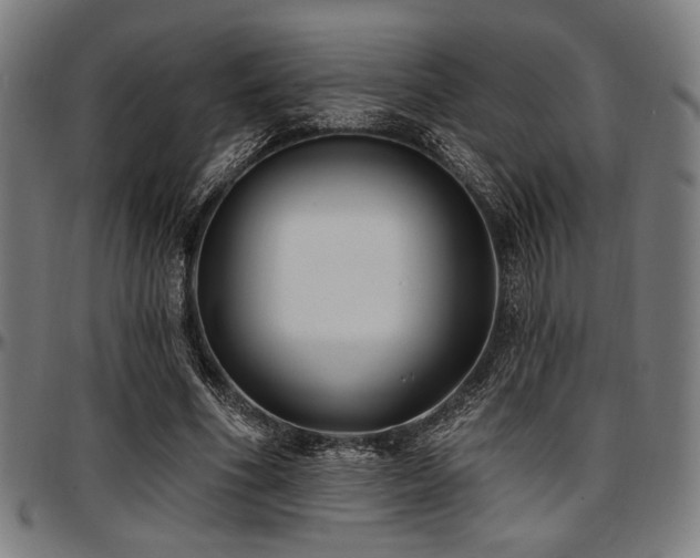 X0000097590586200802291221