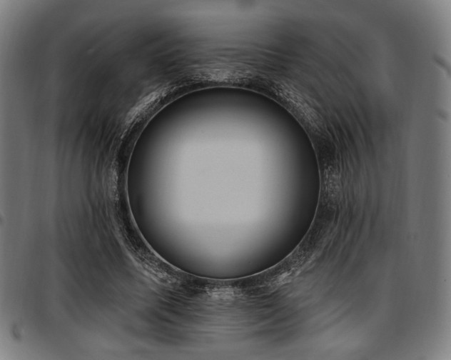 X0000097590587200802291221