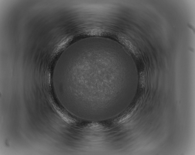 X0000097590589200802291221