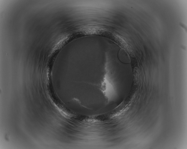 X0000097590590200802291221