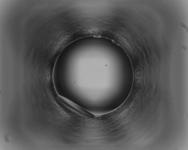 X0000097590593200802291221