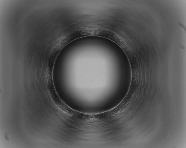 X0000097590594200802291221
