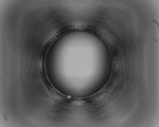 X0000097590595200802291221