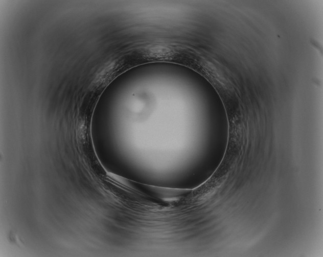 X0000097590597200802291221
