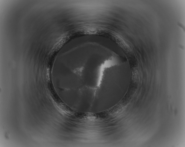 X0000097590598200802291221