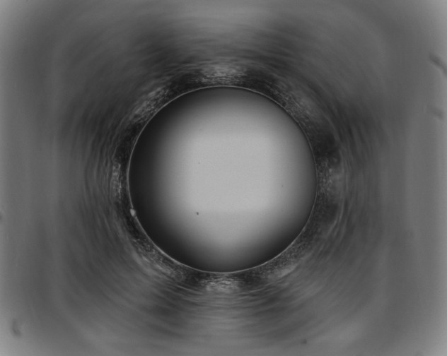 X0000097590599200802291221