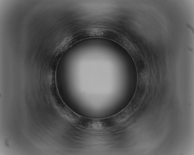 X0000097590600200802291221