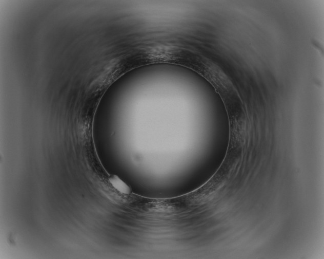 X0000097590601200802291221