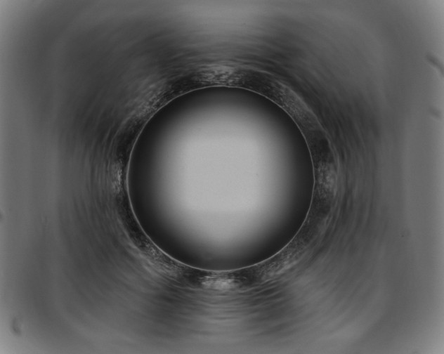X0000097590602200802291221