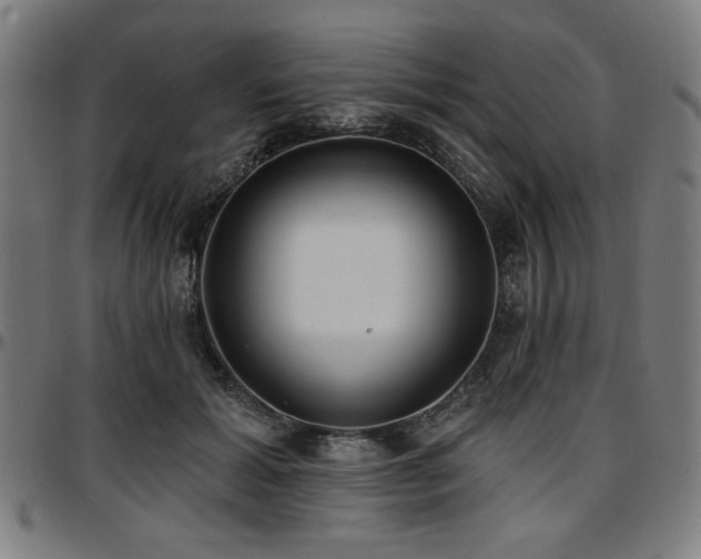 X0000097590605200802291221