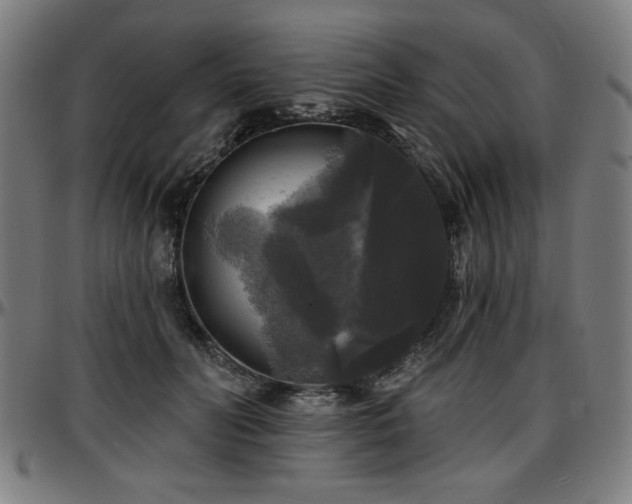 X0000097590606200802291221