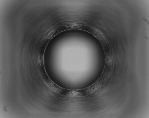X0000097590607200802291221