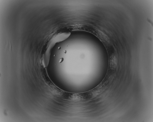 X0000097590608200802291221