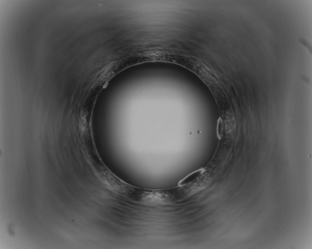 X0000097590611200802291221