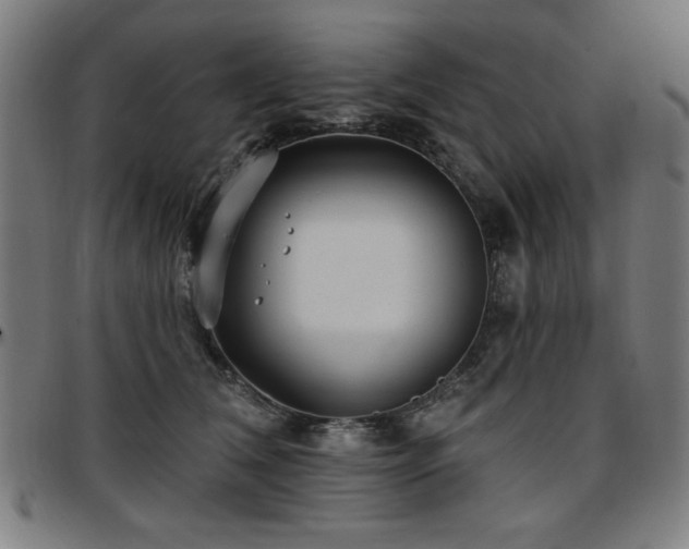 X0000097590612200802291221