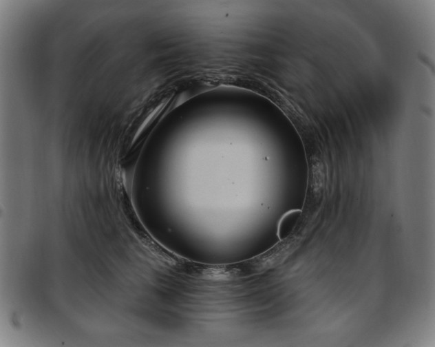 X0000097590613200802291221
