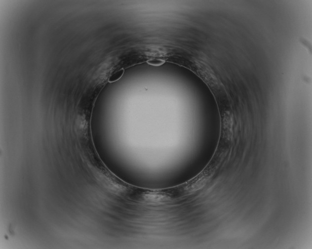 X0000097590614200802291221