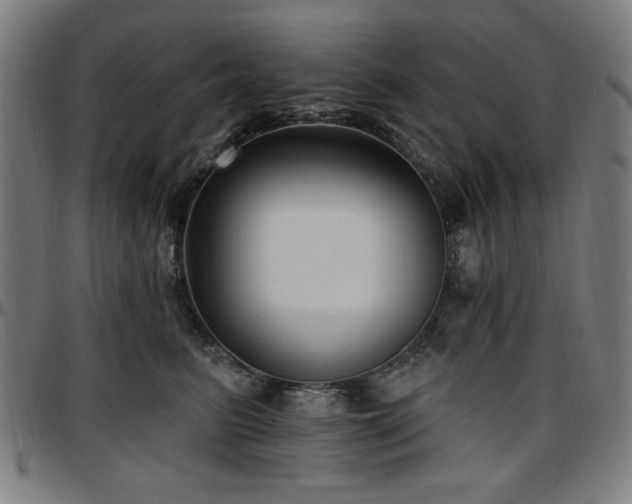 X0000097590615200802291221