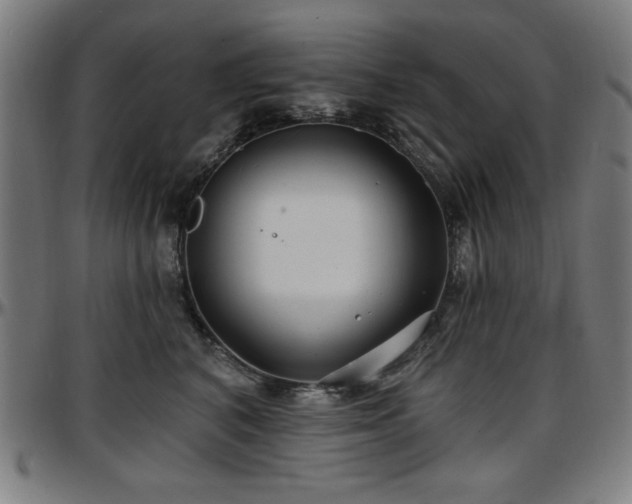 X0000097590616200802291221