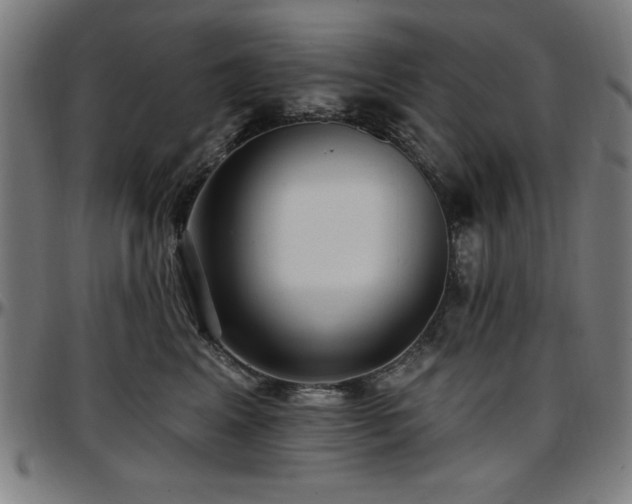 X0000097590617200802291221