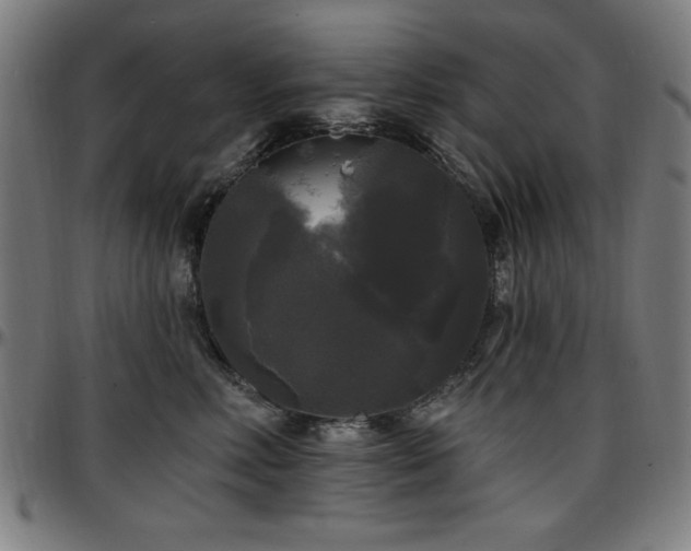 X0000097590618200802291220