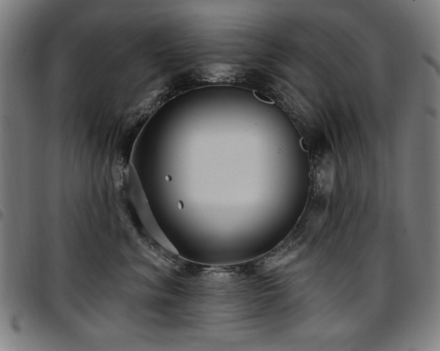 X0000097590620200802291220