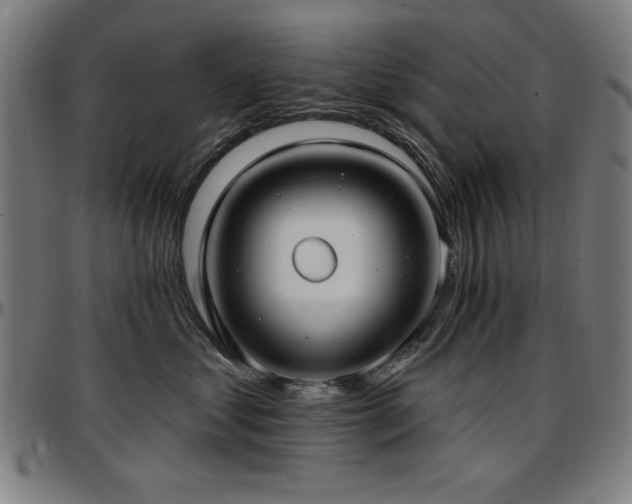 X0000097590621200802291220