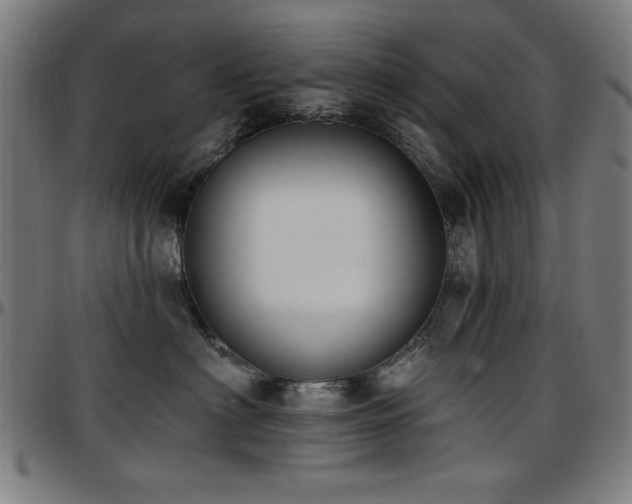 X0000097590622200802291220