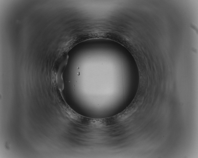X0000097590624200802291220
