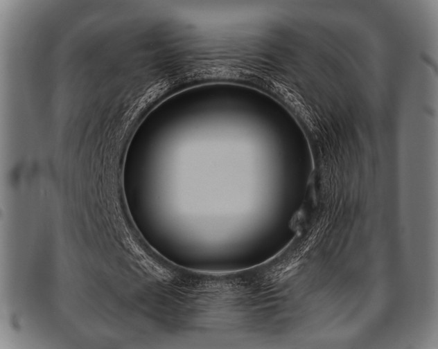 X0000097590625200802291219