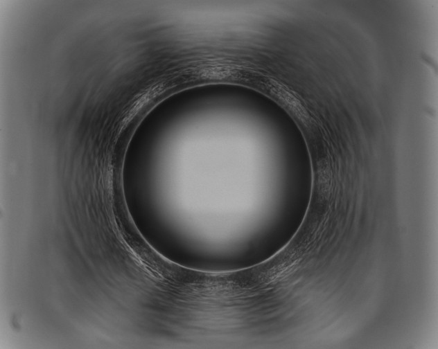 X0000097590626200802291219