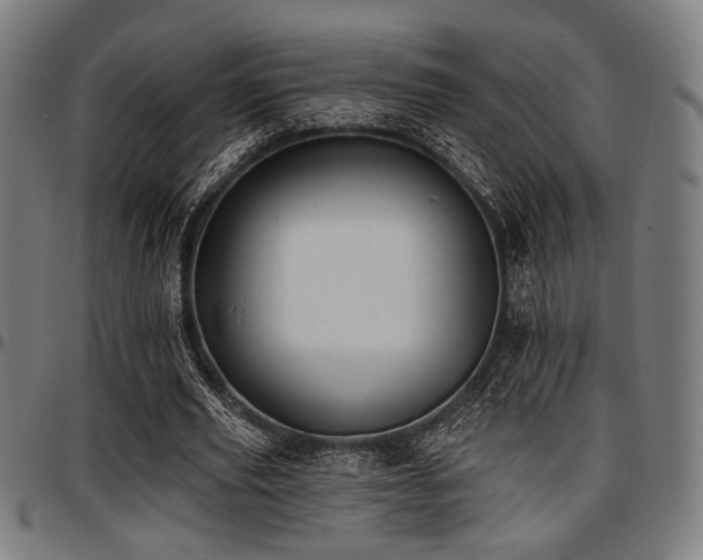 X0000097590629200802291220