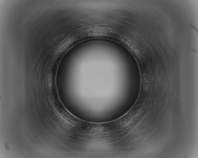 X0000097590631200802291220