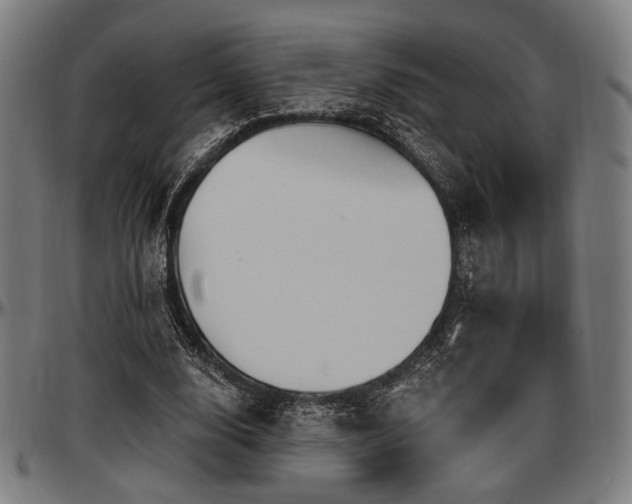 X0000097590632200802291220