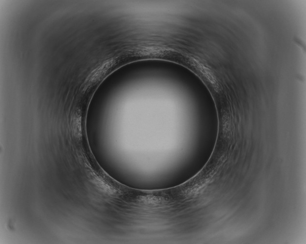 X0000097590633200802291220