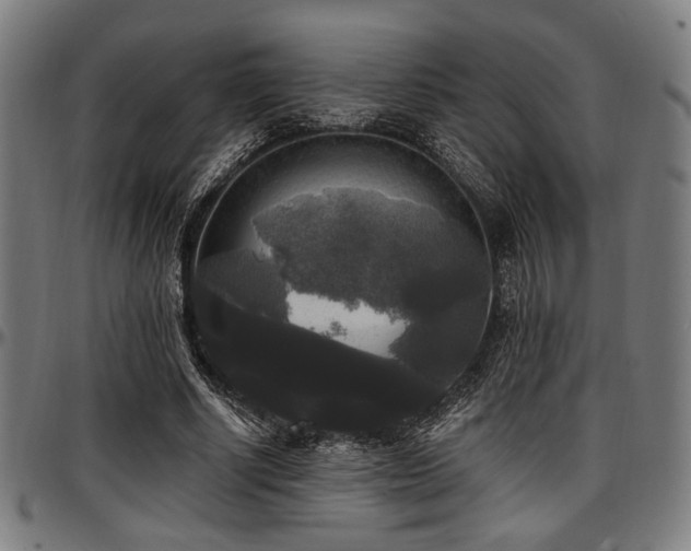 X0000097590634200802291220