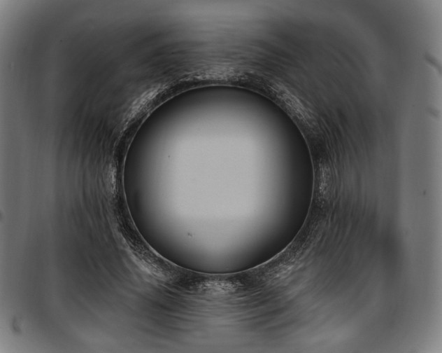 X0000097590636200802291220