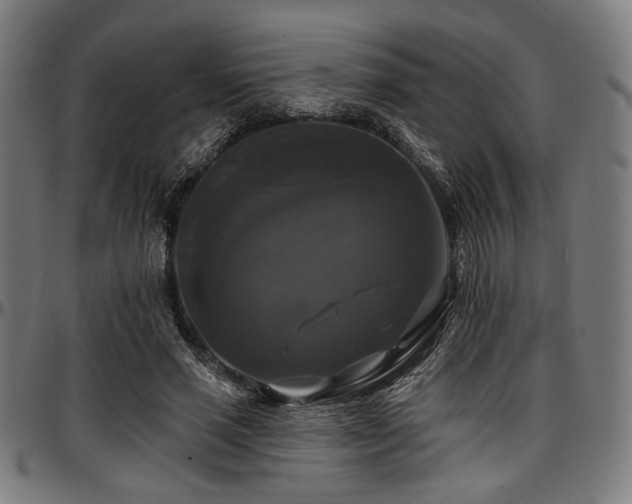 X0000097590637200802291220