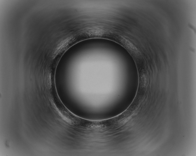 X0000097590638200802291220