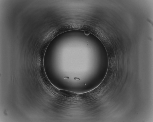 X0000097590639200802291220
